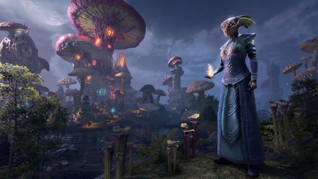 The Elder Scrolls Online screenshot